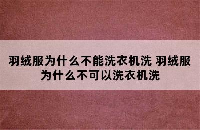 羽绒服为什么不能洗衣机洗 羽绒服为什么不可以洗衣机洗